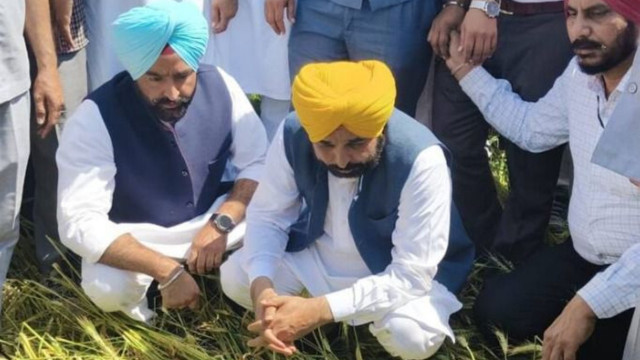 CM Mann Promises: Special Survey to Ensure Compensation for Every Farmer