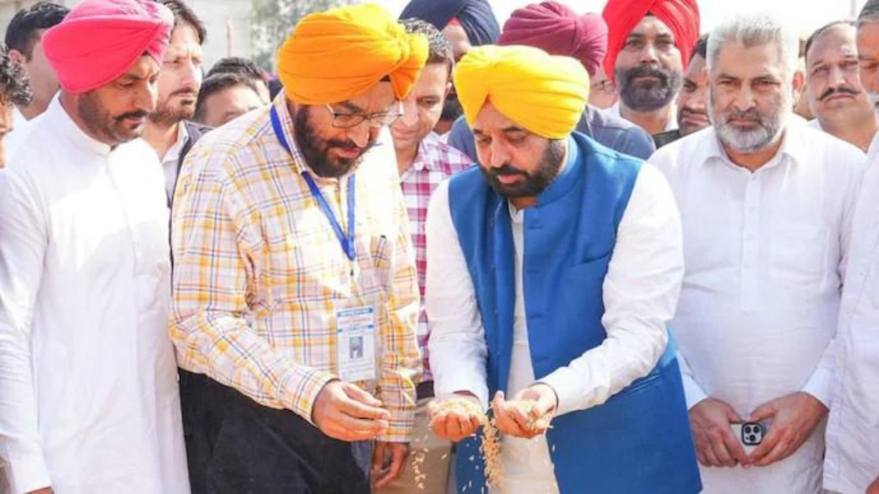 Punjab Sets Historic Record With 150 Lakh MT Paddy Procurement Under Mann Government